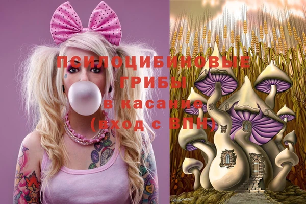 кристаллы Козловка