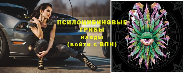 кристаллы Козловка
