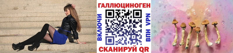 Галлюциногенные грибы Psilocybine cubensis Змеиногорск