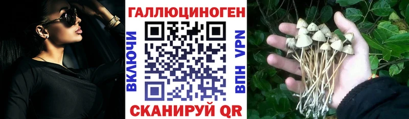 Купить где  Змеиногорск  Галлюциногенные грибы прущие грибы 